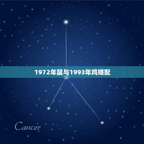 1972年鼠与1993年鸡婚配，1993年属鸡与1972年属鼠的交友适