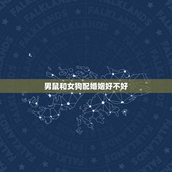 男鼠和女狗配婚姻好不好,生肖配对男鼠和女狗配吗 男鼠和女狗配婚姻好不好,生肖配对男鼠和女狗配吗