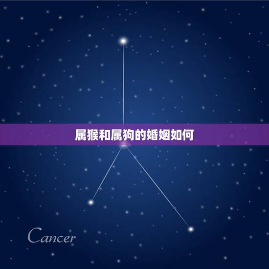 属猴和属狗的婚姻如何，属猴和属狗结婚好吗