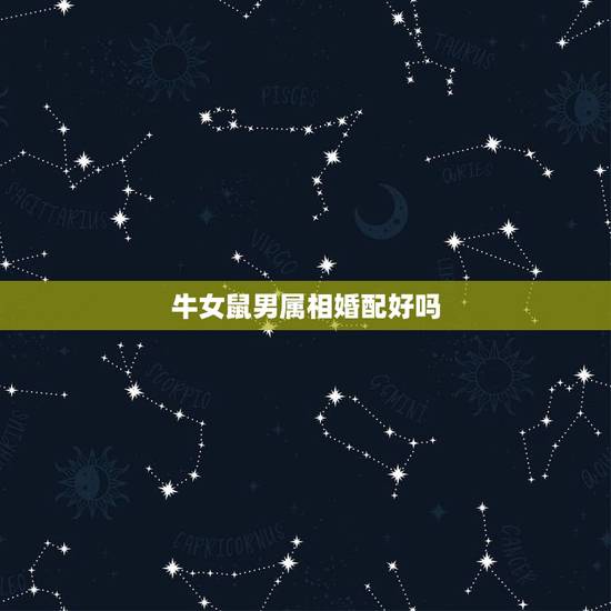 牛女鼠男属相婚配好吗，三两七钱属牛女配男属好吗