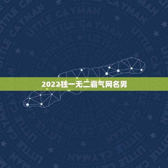 2022独一无二霸气网名男,2021独一无二男生网名有哪些? 2022独一无二霸气网名男,2021独一无二男生网名有哪些?