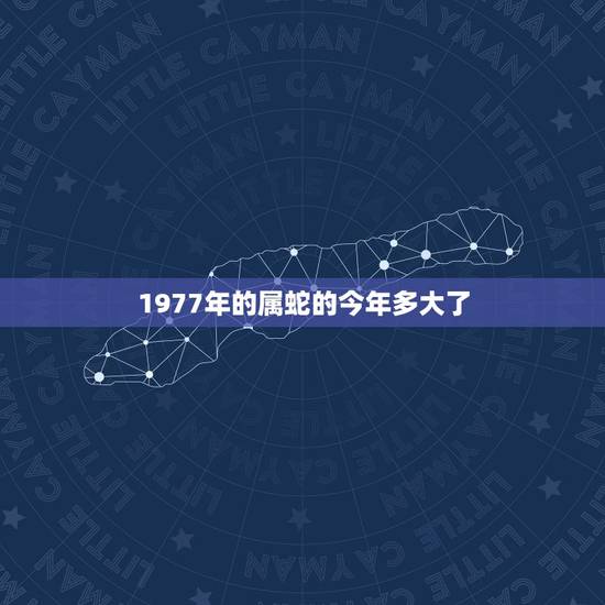 1977年的属蛇的今年多大了,1977年出生的2021年多大? 1977年的属蛇的今年多大了,1977年出生的2021年多大?