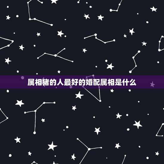 属相猪的人最好的婚配属相是什么,属相婚配表之属猪的和什么属相最配 属相猪的人最好的婚配属相是什么,属相婚配表之属猪的和什么属相最配
