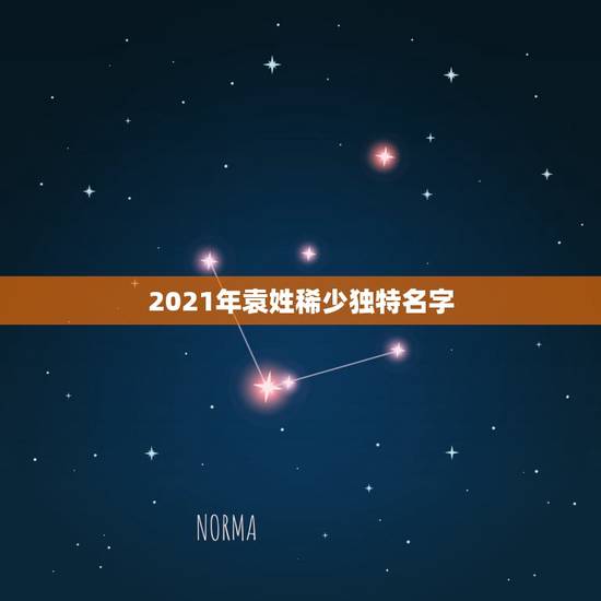 2021年袁姓稀少独特名字，二零零三年袁姓男孩取名大全？