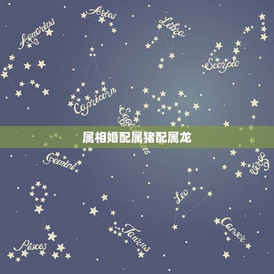属相婚配属猪配属龙，属猪女和属龙男属相和吗