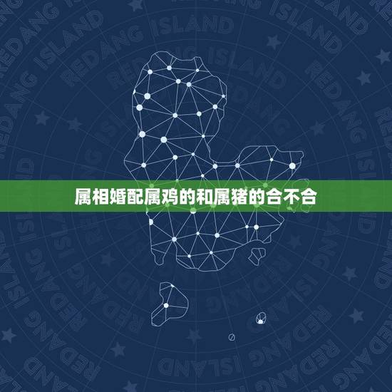 属相婚配属鸡的和属猪的合不合,属猪的和什么属相最配 属猪的属相婚配表 属相婚配属鸡的和属猪的合不合,属猪的和什么属相最配 属猪的属相婚配表