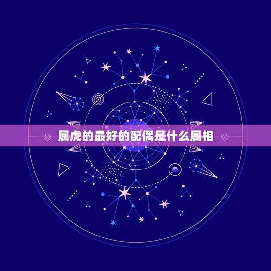 属虎的最好的配偶是什么属相，86年属虎的最佳配偶