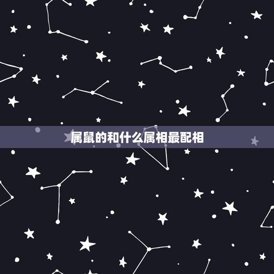 属鼠的和什么属相最配相,属鼠和什么属相最配 属鼠的和什么属相最配相,属鼠和什么属相最配
