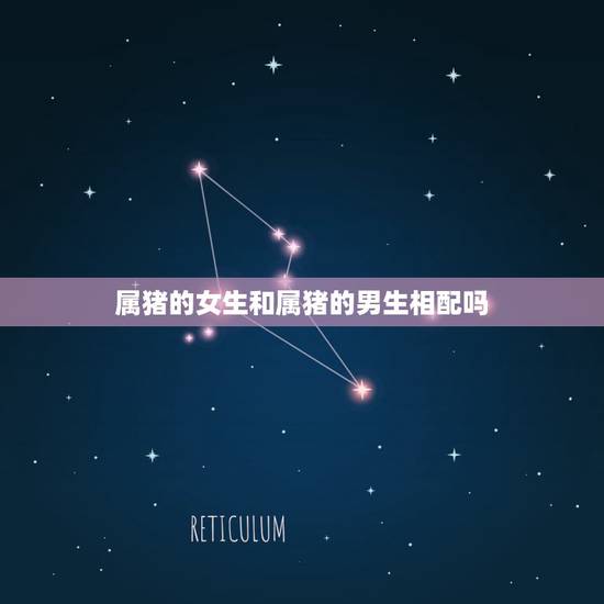 属猪的女生和属猪的男生相配吗，属猪女跟什么属相最配做夫妻