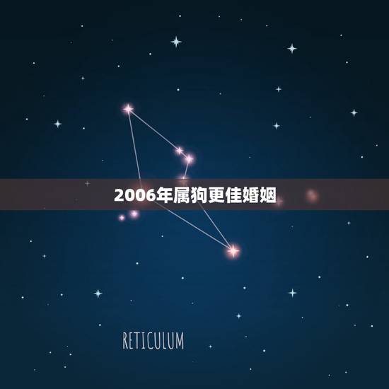 2006年属狗更佳婚姻，2006年属狗的男更佳婚配