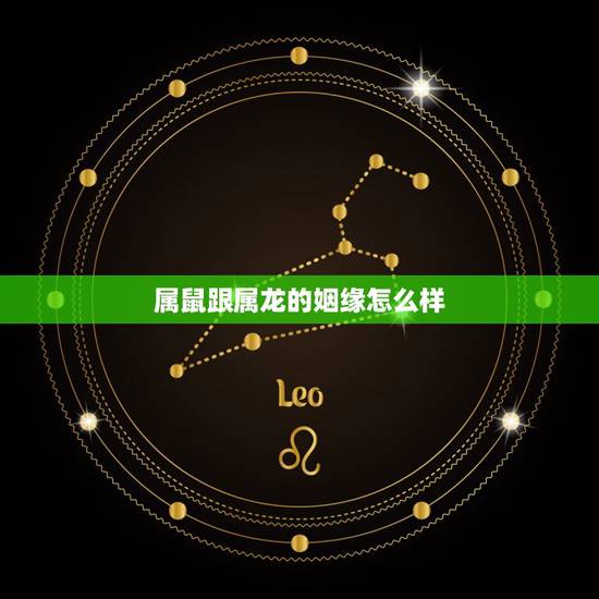 属鼠跟属龙的姻缘怎么样 龙和鼠的生肖婚姻配吗