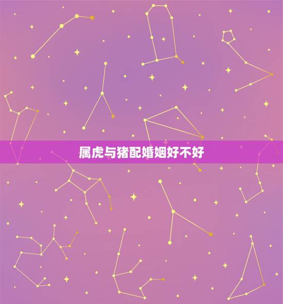 属虎与猪配婚姻好不好,女属虎本命年结婚好吗 属虎与猪配婚姻好不好,女属虎本命年结婚好吗