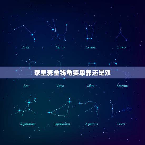 家里养金钱龟要单养还是双，为什么一个家里不能养2只乌龟？