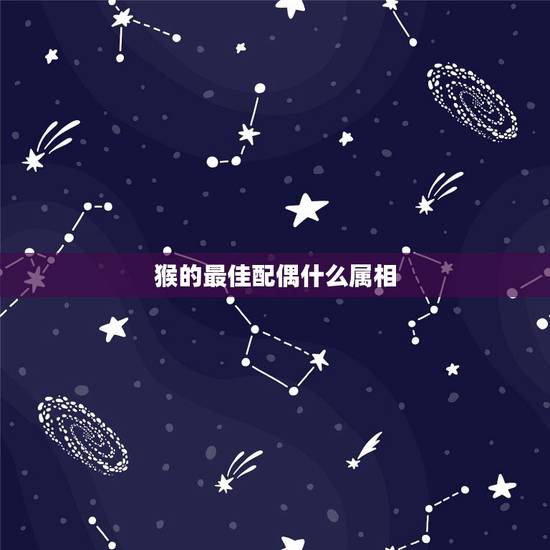 猴的最佳配偶什么属相,1992年属猴的最佳配偶 猴的最佳配偶什么属相,1992年属猴的最佳配偶