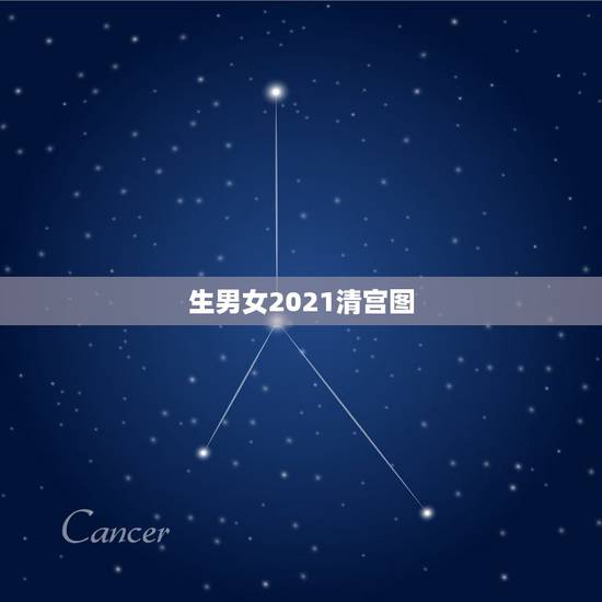 生男女2021清宫图，清宫图2021年生男生女表怎么算