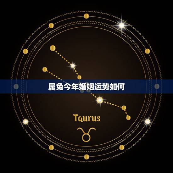 属兔今年婚姻运势如何,属狗今年的运势和婚姻 属兔今年婚姻运势如何,属狗今年的运势和婚姻