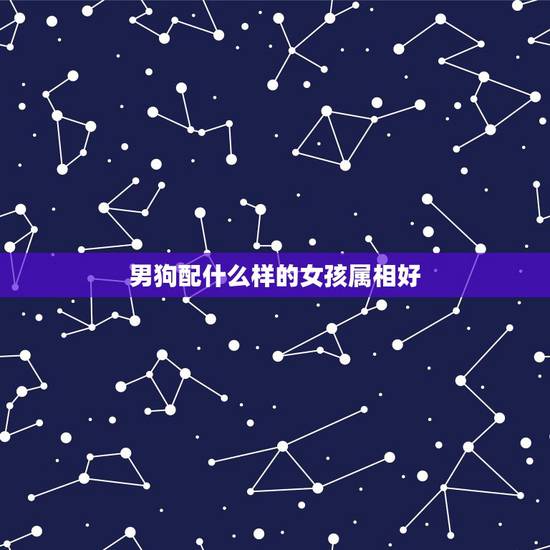 男狗配什么样的女孩属相好,男狗配什么生肖最好 男狗配什么样的女孩属相好,男狗配什么生肖最好