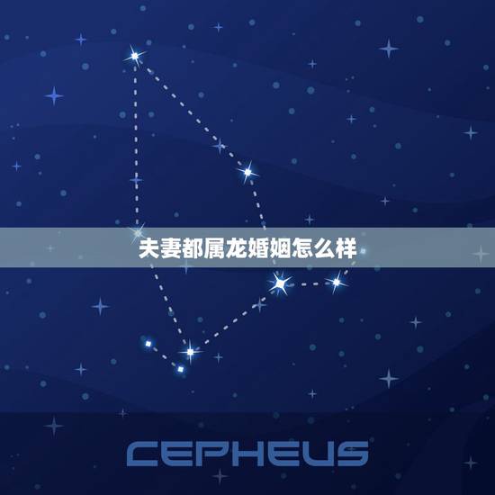夫妻都属龙婚姻怎么样，两个00年属龙的结婚好吗