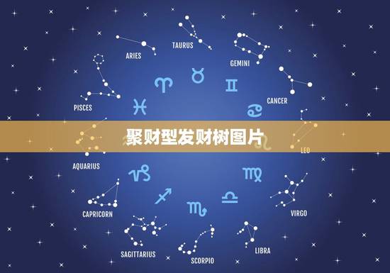 聚财型发财树图片,发财树多长时间浇一次水? 聚财型发财树图片,发财树多长时间浇一次水?