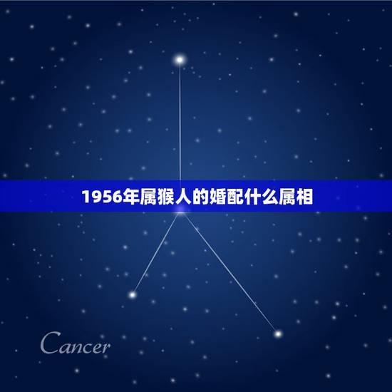 1956年属猴人的婚配什么属相,属猴的和什么属相最配 属猴人的婚配 1956年属猴人的婚配什么属相,属猴的和什么属相最配 属猴人的婚配