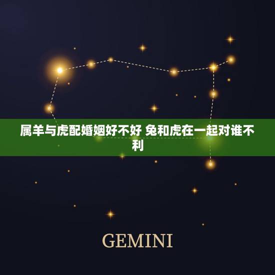 属羊与虎配婚姻好不好 兔和虎在一起对谁不利 属羊与虎配婚姻好不好 兔和虎在一起对谁不利