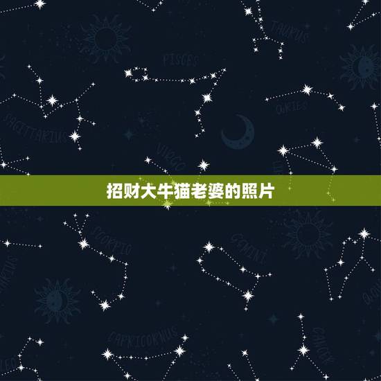 招财大牛猫老婆的照片，大号“招财大牛猫”停更，这名博主存在哪些违规问题
