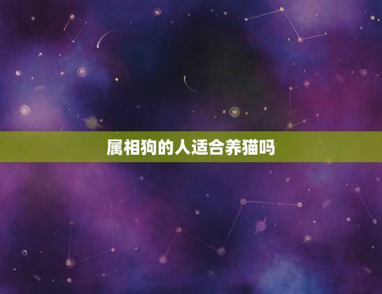 属相狗的人适合养猫吗,属狗的人不能养猫吗?正能量回答 属相狗的人适合养猫吗,属狗的人不能养猫吗?正能量回答