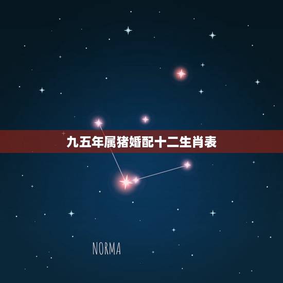 九五年属猪婚配十二生肖表,属猪的和什么属相好 九五年属猪婚配十二生肖表,属猪的和什么属相好