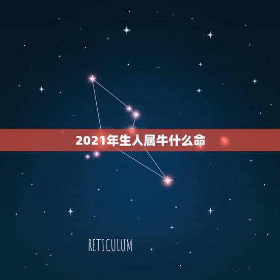 2021年生人属牛什么命，2021年属牛是什么命