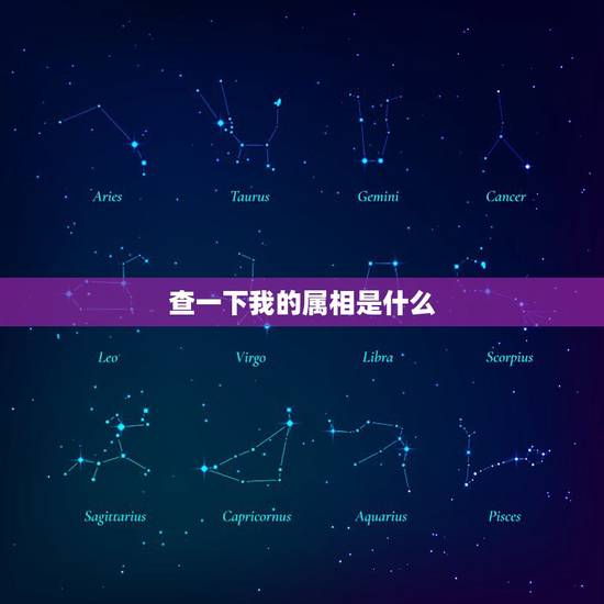 查一下我的属相是什么，我查询的生肖