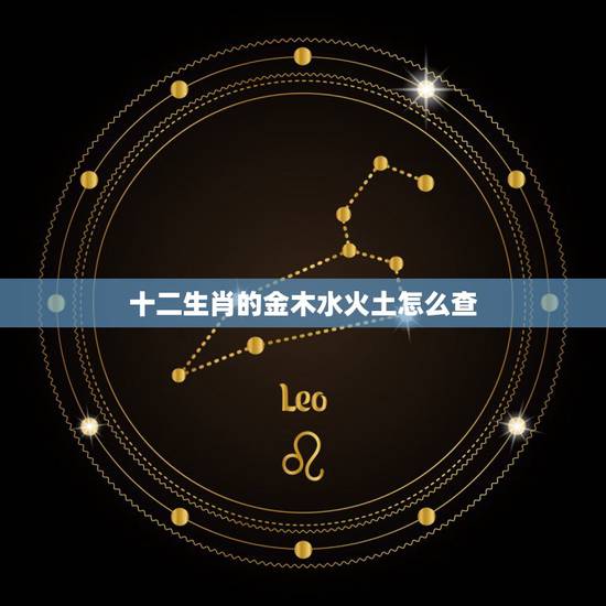 十二生肖的金木水火土怎么查，怎么查人的属的金木水火土？