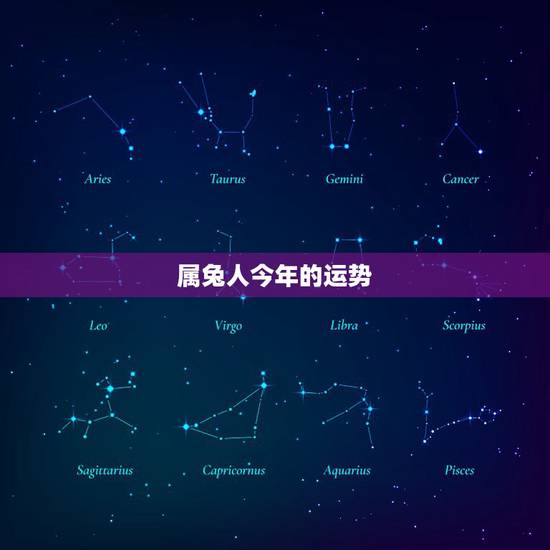 属兔人今年的运势,75年属兔的一生财运 属兔人今年的运势,75年属兔的一生财运