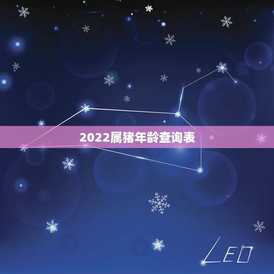 2022属猪年龄查询表,2022年属猪人的全年运势 2022属猪年龄查询表,2022年属猪人的全年运势
