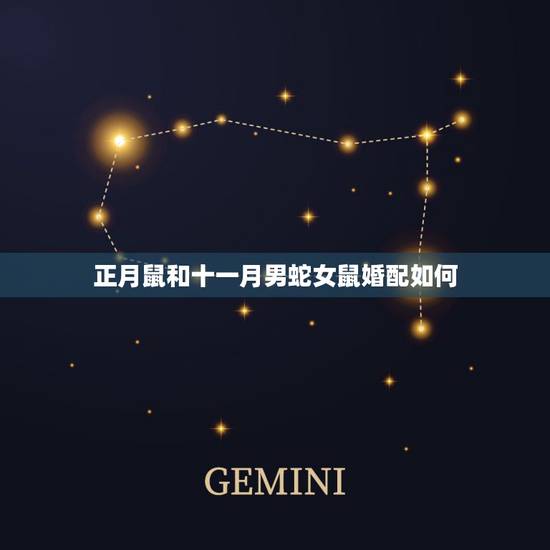 正月鼠和十一月男蛇女鼠婚配如何，男蛇和女鼠相配吗？