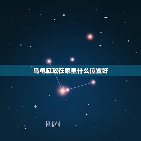 乌龟缸放在家里什么位置好，家里乌龟按风水往哪摆放