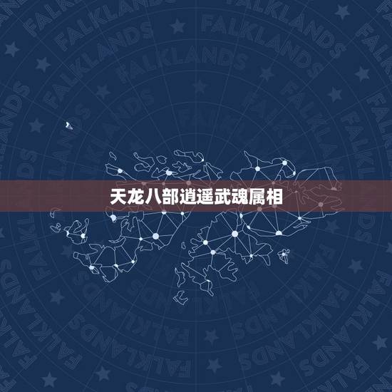 天龙八部逍遥武魂属相,天龙八部逍遥武魂问题 天龙八部逍遥武魂属相,天龙八部逍遥武魂问题