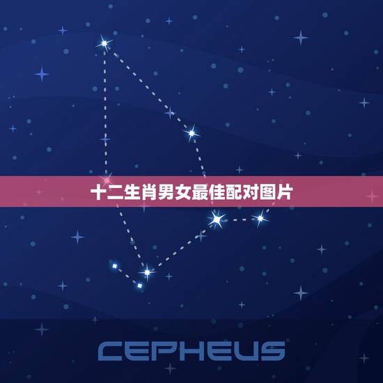 十二生肖男女最佳配对图片,生肖配对能判断男女婚配吗 十二生肖男女最佳配对图片,生肖配对能判断男女婚配吗