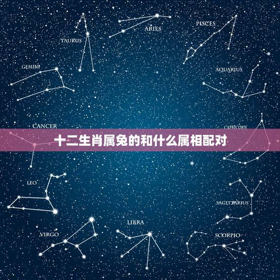 十二生肖属兔的和什么属相配对，属兔男和什么属相最配