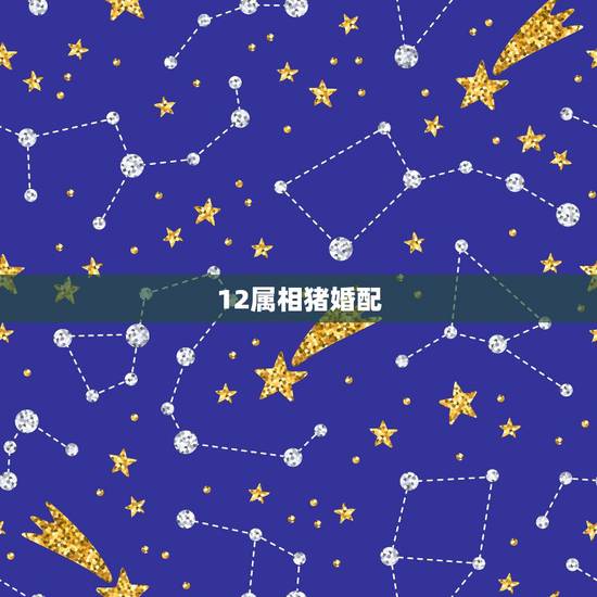 12属相猪婚配，属猪的属相婚配表 揭秘和什么属相最配