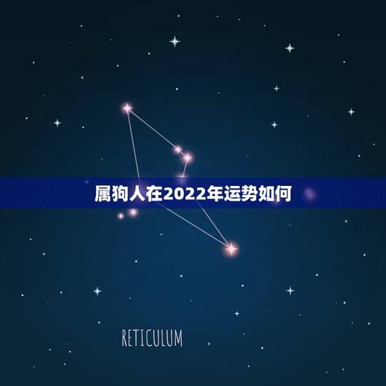属狗人在2022年运势如何,2022年属狗人的全年运势男性 属狗人在2022年运势如何,2022年属狗人的全年运势男性