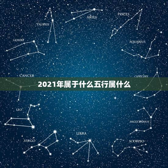 2021年属于什么五行属什么，2021年什么命五行属性