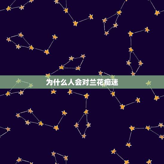为什么人会对兰花痴迷，人们为什么要赞美兰花