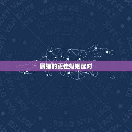 属猪的更佳婚姻配对,周易八字合婚免费测试 属猪的更佳婚姻配对,周易八字合婚免费测试