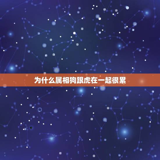 为什么属相狗跟虎在一起很累，属狗的和属虎的在一起好吗