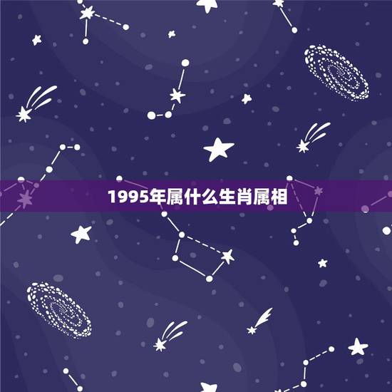 1995年属什么生肖属相，1995年属什么生肖
