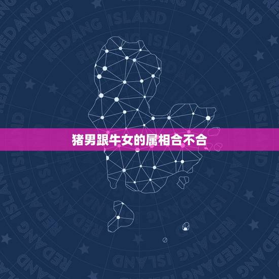 猪男跟牛女的属相合不合,97属牛的和95属猪结婚 猪男跟牛女的属相合不合,97属牛的和95属猪结婚