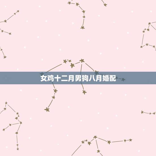 女鸡十二月男狗八月婚配,女属鸡十二月二十八阴历,男属狗十月初十阴历能结 女鸡十二月男狗八月婚配,女属鸡十二月二十八阴历,男属狗十月初十阴历能结