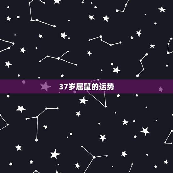 37岁属鼠的运势，2022 年属鼠84年财运如何