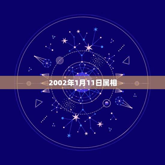 2002年1月11日属相，2002年的人属什么？_？