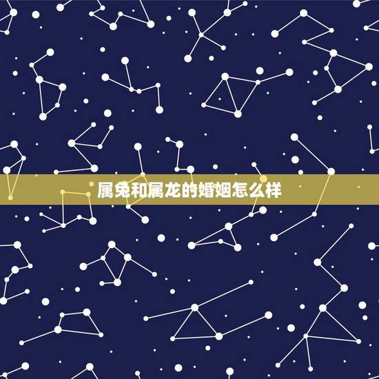 属兔和属龙的婚姻怎么样,属兔的和属龙的婚姻怎么样? 属兔和属龙的婚姻怎么样,属兔的和属龙的婚姻怎么样?